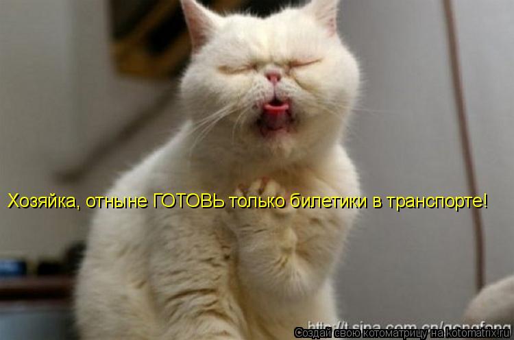 Котоматрица: Хозяйка, отныне ГОТОВЬ только билетики в транспорте!
