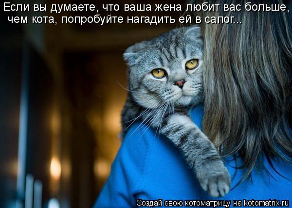 Если вы думаете, что ваша жена любит вас больше, чем кота, попробуйте нагадить ей в сапог...... Котоматрица: Если вы думаете, что ваша жена любит вас больше, чем кота, попробуйте нагадить ей в сапог...