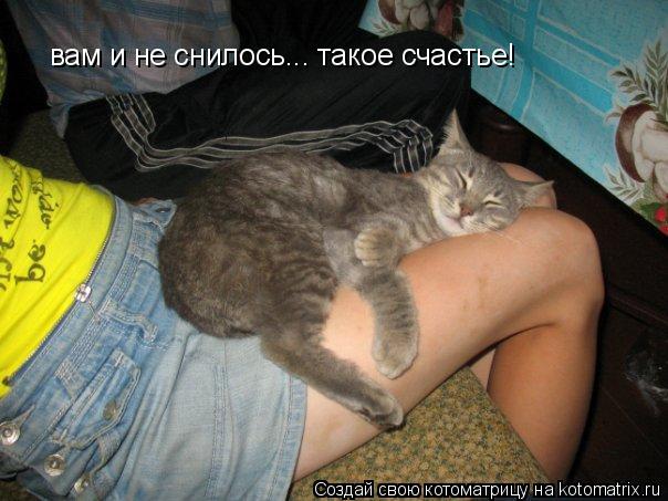 вам и не снилось... такое счастье!... Котоматрица: вам и не снилось... такое счастье!
