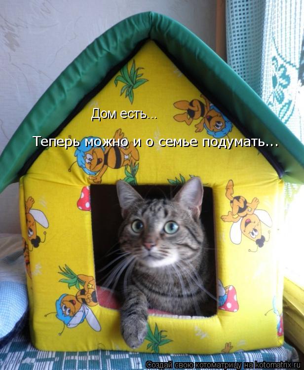 Дом есть... Теперь можно и о семье подумать... Дом есть... Теперь можно и о семье подумать...... Котоматрица: Дом есть... Теперь можно и о семье подумать... Дом есть... Теперь можно и о семье подумать...