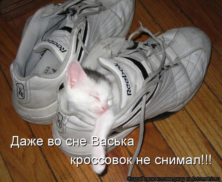 Даже во сне Васька кроссовок не снимал!!!... Котоматрица: Даже во сне Васька кроссовок не снимал!!!
