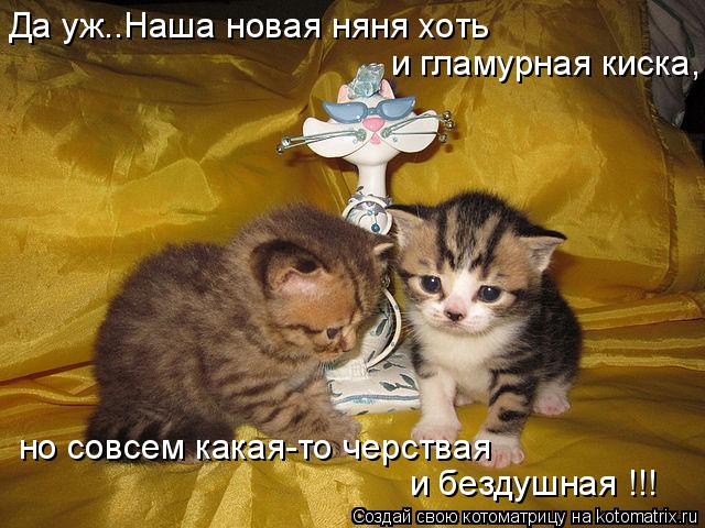 но совсем какая-то черствая и бездушная !!! Да уж..Наша новая няня хоть и гламурная киска,... Котоматрица: но совсем какая-то черствая и бездушная !!! Да уж..Наша новая няня хоть и гламурная киска,
