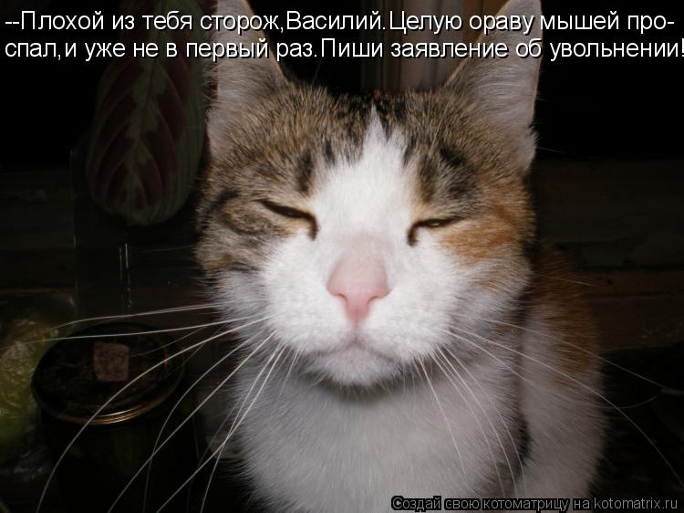 --Плохой из тебя сторож,Василий.Целую ораву мышей про- спал,и уже не в первый раз.Пиши заявление об у... Котоматрица: --Плохой из тебя сторож,Василий.Целую ораву мышей про- спал,и уже не в первый раз.Пиши заявление об увольнении!