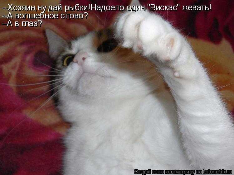 --Хозяин,ну дай рыбки!Надоело один "Вискас" жевать! --А волшебное слово? --А в глаз?... Котоматрица: --Хозяин,ну дай рыбки!Надоело один "Вискас" жевать! --А волшебное слово? --А в глаз?