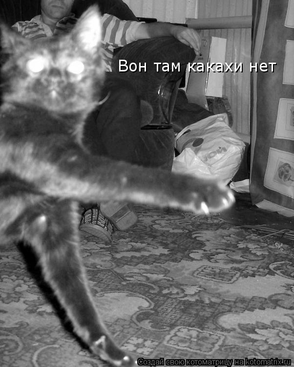 Вон там какахи нет... Котоматрица: Вон там какахи нет
