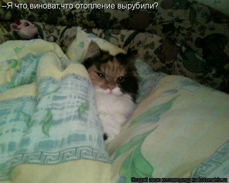 --Я что,виноват,что отопление вырубили?... Котоматрица: --Я что,виноват,что отопление вырубили?