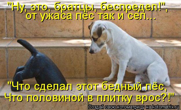 "Ну, это, братцы, беспредел!", от ужаса пёс так и сел... "Что сделал этот бедный пёс, Что половиной в... Котоматрица: "Ну, это, братцы, беспредел!", от ужаса пёс так и сел... "Что сделал этот бедный пёс, Что половиной в плитку врос?!"
