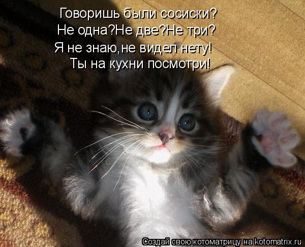 Говоришь были сосиски? Не одна?Не две?Не три? Я не знаю,не видел нету! Ты на кухни посмотри!... Котоматрица: Говоришь были сосиски? Не одна?Не две?Не три? Я не знаю,не видел нету! Ты на кухни посмотри!