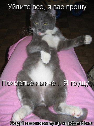 Уйдите все, я вас прошу Похмелье нынче... Я грущу....... Котоматрица: Уйдите все, я вас прошу Похмелье нынче... Я грущу....