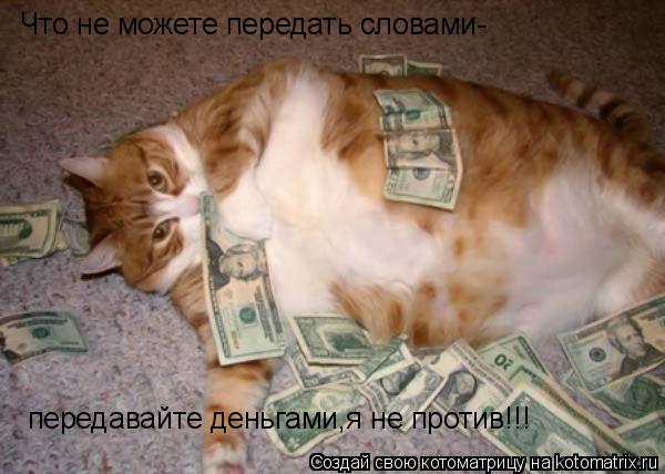 Что не можете передать словами- передавайте деньгами,я не против!!!... Котоматрица: Что не можете передать словами- передавайте деньгами,я не против!!!