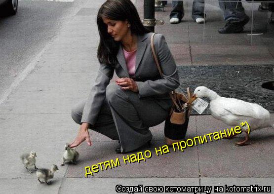 детям надо на пропитание*)... Котоматрица: детям надо на пропитание*)