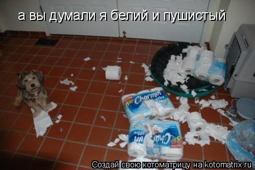 а вы думали я белий и пушистый... Котоматрица: а вы думали я белий и пушистый