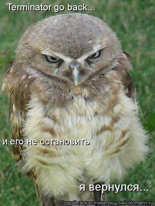 я вернулся... Terminator go back... и его не остановить... Котоматрица: я вернулся... Terminator go back... и его не остановить