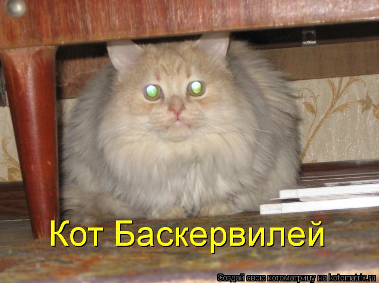 Кот Баскервилей... Котоматрица: Кот Баскервилей
