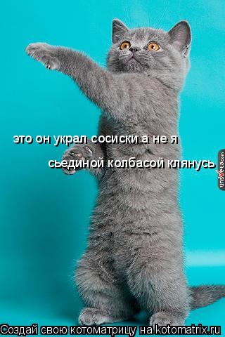 это он украл сосиски а не я сьединой колбасой клянусь... Котоматрица: это он украл сосиски а не я сьединой колбасой клянусь