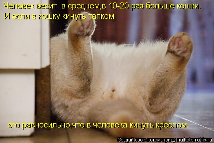 Человек весит ,в среднем,в 10-20 раз больше кошки. И если в кошку кинуть тапком, это равносильно,что ... Котоматрица: Человек весит ,в среднем,в 10-20 раз больше кошки. И если в кошку кинуть тапком, это равносильно,что в человека кинуть креслом