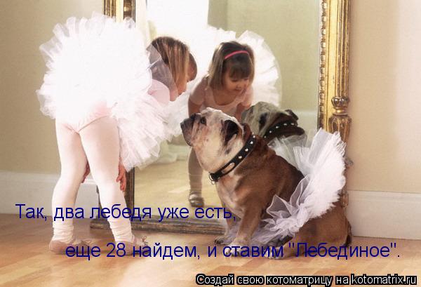 Так, два лебедя уже есть, Так, два лебедя уже есть, еще 28 найдем, и ставим "Лебединое". еще 28 найде... Котоматрица: Так, два лебедя уже есть, Так, два лебедя уже есть, еще 28 найдем, и ставим "Лебединое". еще 28 найдем, и ставим "Лебединое".