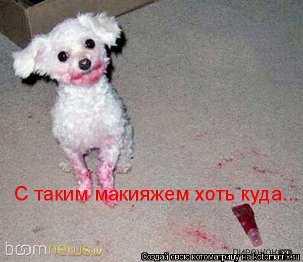 С таким макияжем хоть куда...... Котоматрица: С таким макияжем хоть куда...