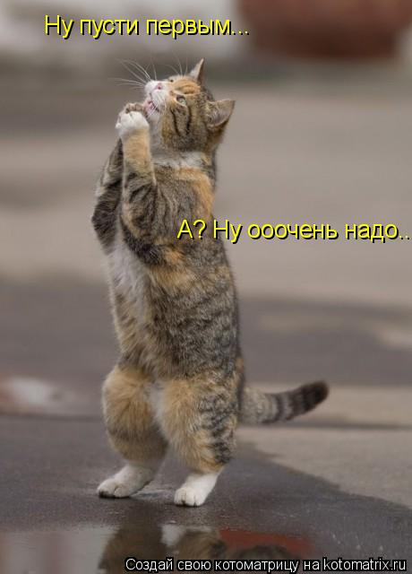 Ну пусти первым... А? Ну ооочень надо...... Котоматрица: Ну пусти первым... А? Ну ооочень надо...
