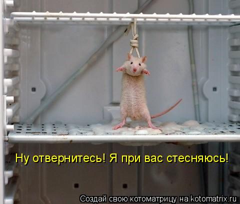 Ну отвернитесь! Я при вас стесняюсь!... Котоматрица: Ну отвернитесь! Я при вас стесняюсь!