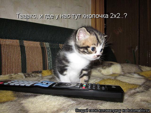 Тааакс, и где у нас тут кнопочка 2x2..?... Котоматрица: Тааакс, и где у нас тут кнопочка 2x2..?