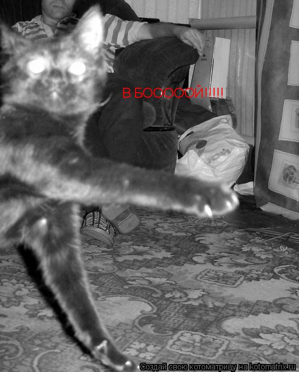 В БОООООЙ!!!!!... Котоматрица: В БОООООЙ!!!!!