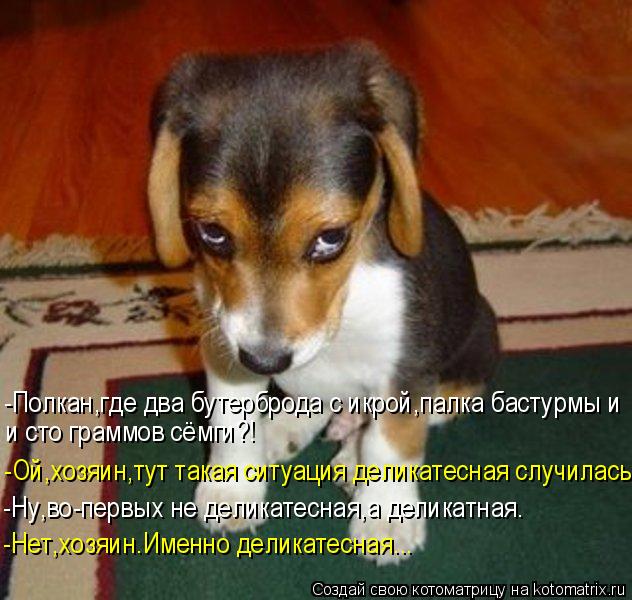 -Полкан,где два бутерброда с икрой,палка бастурмы и и сто граммов сёмги?! -Ой,хозяин,тут такая ситуа... Котоматрица: -Полкан,где два бутерброда с икрой,палка бастурмы и и сто граммов сёмги?! -Ой,хозяин,тут такая ситуация деликатесная случилась... -Ну,во-первы