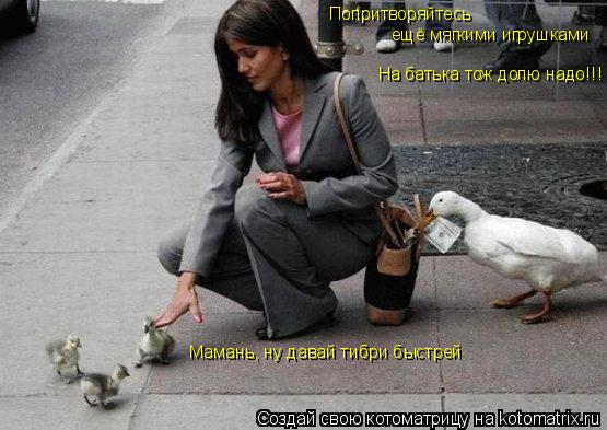 Мамань, ну давай тибри быстрей Попритворяйтесь ещё мягкими игрушками На батька тож долю надо!!!... Котоматрица: Мамань, ну давай тибри быстрей Попритворяйтесь ещё мягкими игрушками На батька тож долю надо!!!