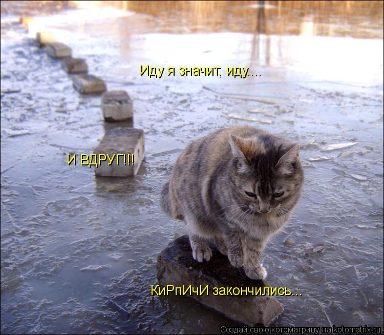 Иду я значит, иду.... И ВДРУГ!!! КиРпИчИ закончились...... Котоматрица: Иду я значит, иду.... И ВДРУГ!!! КиРпИчИ закончились...
