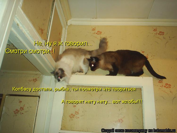 Не, ну я ж говорил... Смотри смотри..! Колбасу достали, рыбка, ты посмотри что твориться А говорят не... Котоматрица: Не, ну я ж говорил... Смотри смотри..! Колбасу достали, рыбка, ты посмотри что твориться А говорят нету нету... вот жлобы!!!