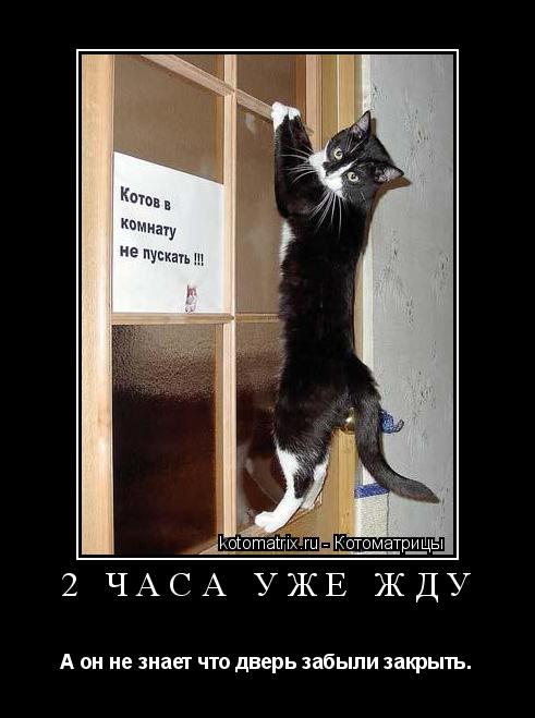 2 часа уже жду А он не знает что дверь забыли закрыть.... Котоматрица: 2 часа уже жду А он не знает что дверь забыли закрыть.