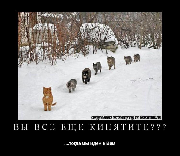 ВЫ ВСЁ ЕЩЁ КИПЯТИТЕ??? ....тогда мы идём к Вам... Котоматрица: ВЫ ВСЁ ЕЩЁ КИПЯТИТЕ??? ....тогда мы идём к Вам
