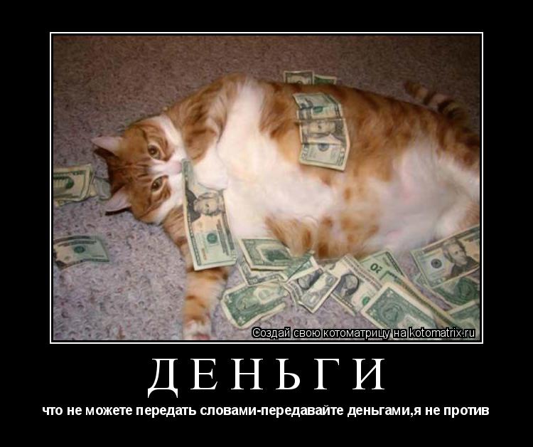 ДЕНЬГИ что не можете передать словами-передавайте деньгами,я не против... Котоматрица: ДЕНЬГИ что не можете передать словами-передавайте деньгами,я не против