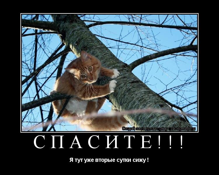 Спасите!!! Я тут уже вторые сутки сижу !... Котоматрица: Спасите!!! Я тут уже вторые сутки сижу !