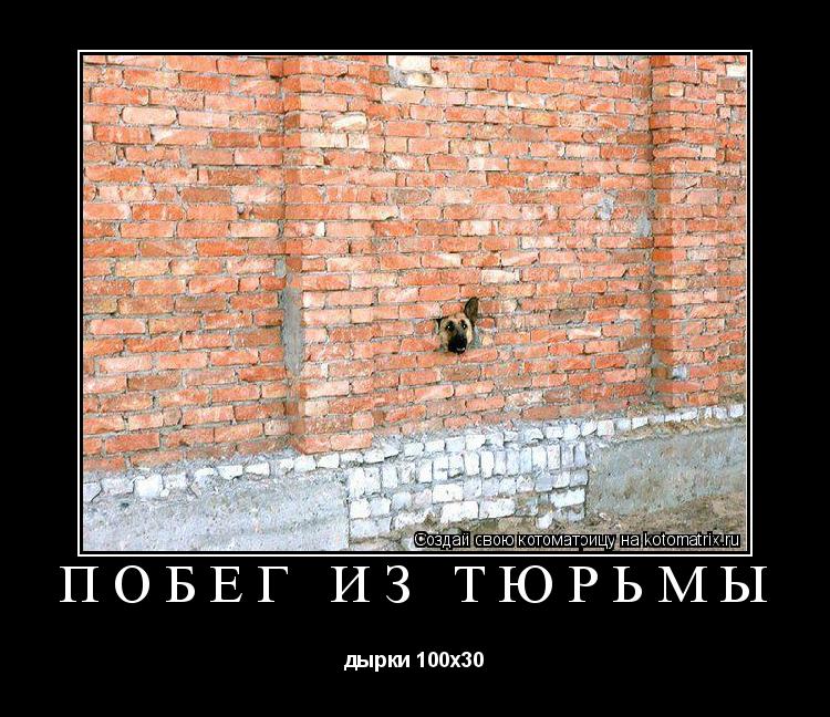 побег из тюрьмы дырки 100x30... Котоматрица: побег из тюрьмы дырки 100x30