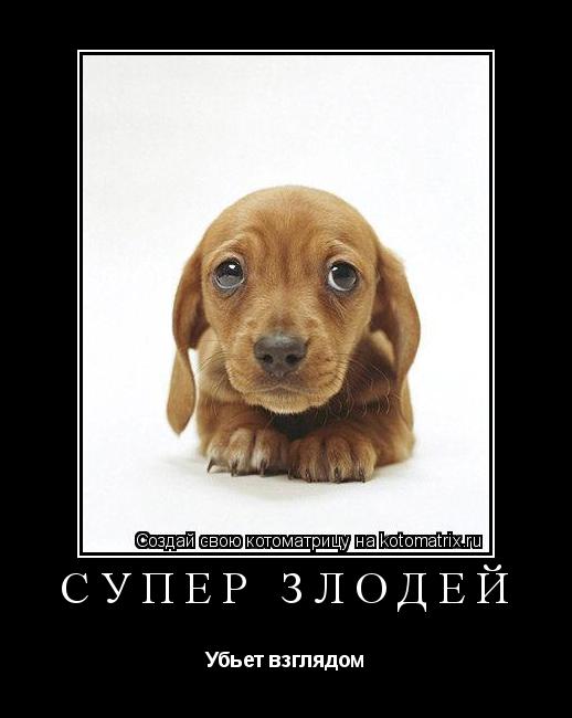 СУПЕР ЗЛОДЕЙ Убьет взглядом... Котоматрица: СУПЕР ЗЛОДЕЙ Убьет взглядом
