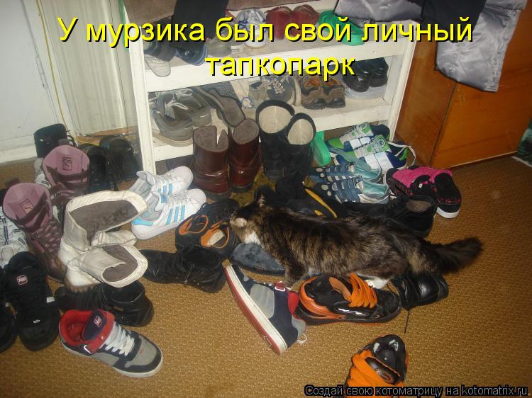 тапкопарк У мурзика был свой личный... Котоматрица: тапкопарк У мурзика был свой личный