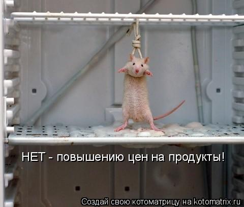 НЕТ - повышению цен на продукты!... Котоматрица: НЕТ - повышению цен на продукты!
