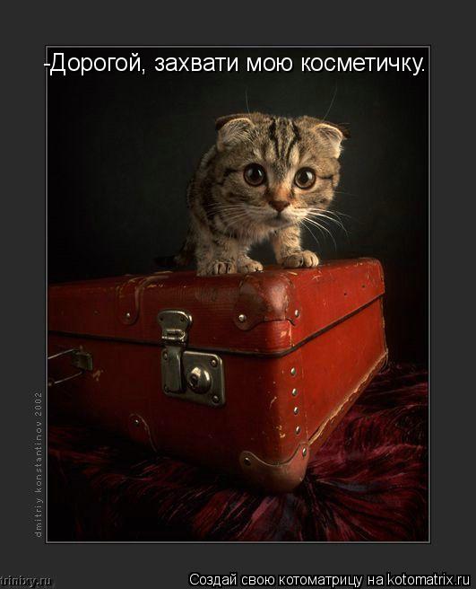 -Дорогой, захвати мою косметичку.... Котоматрица: -Дорогой, захвати мою косметичку.
