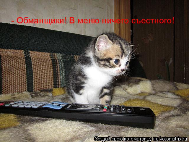 - Обманщики! В меню ничего съестного!... Котоматрица: - Обманщики! В меню ничего съестного!