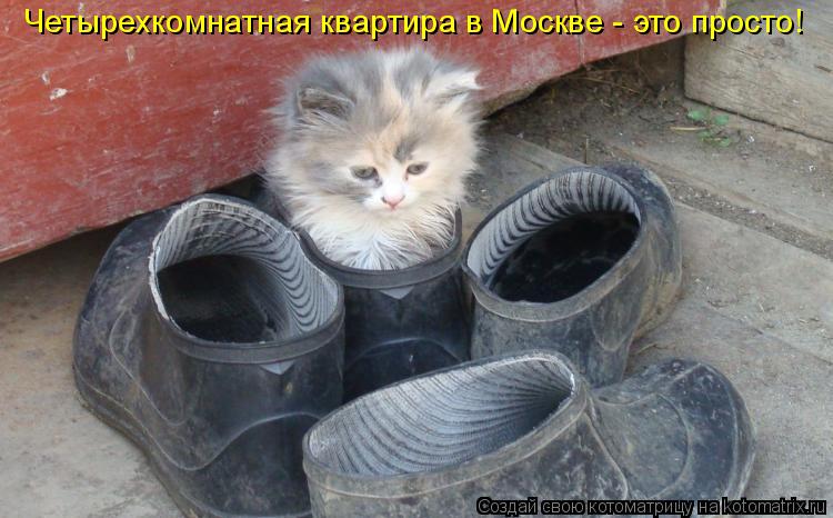 Четырехкомнатная квартира в Москве - это просто!... Котоматрица: Четырехкомнатная квартира в Москве - это просто!