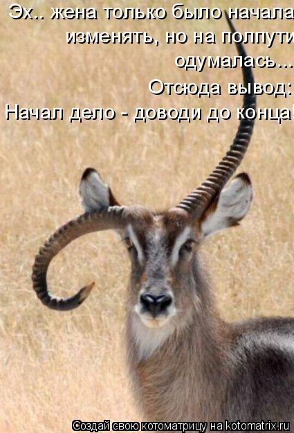 Эх.. жена только было начала изменять, но на полпути одумалась.... Отсюда вывод: Начал дело - доводи ... Котоматрица: Эх.. жена только было начала изменять, но на полпути одумалась.... Отсюда вывод: Начал дело - доводи до конца! изменять, но на полпути одумалась