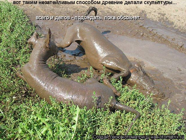 вот таким незатейливым способом древние делали скульптуры... всего и делов - подождать, пока обсохнет... Котоматрица: вот таким незатейливым способом древние делали скульптуры... всего и делов - подождать, пока обсохнет...
