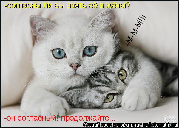 -согласны ли вы взять её в жёны? -М-М-М!!! -он согласный! продолжайте...... Котоматрица: -согласны ли вы взять её в жёны? -М-М-М!!! -он согласный! продолжайте...