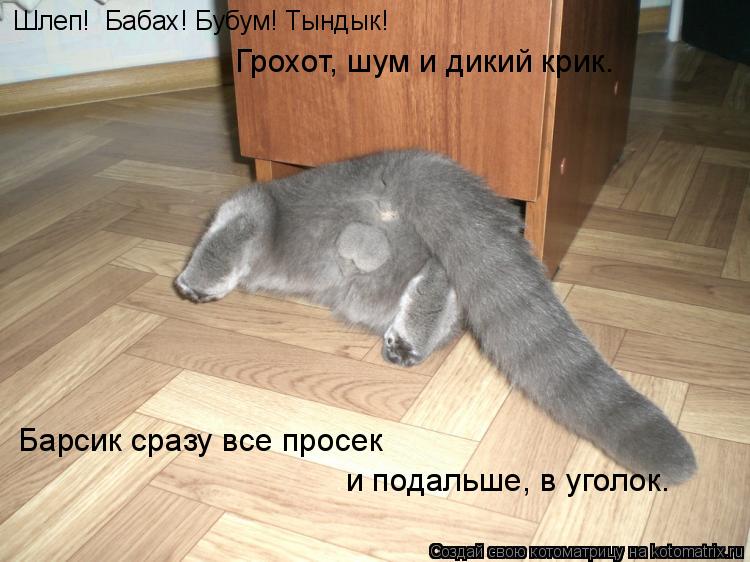 Шлеп! Бабах! Бубум! Тындык! Грохот, шум и дикий крик. Барсик сразу все просек и подальше, в уголок.... Котоматрица: Шлеп! Бабах! Бубум! Тындык! Грохот, шум и дикий крик. Барсик сразу все просек и подальше, в уголок.