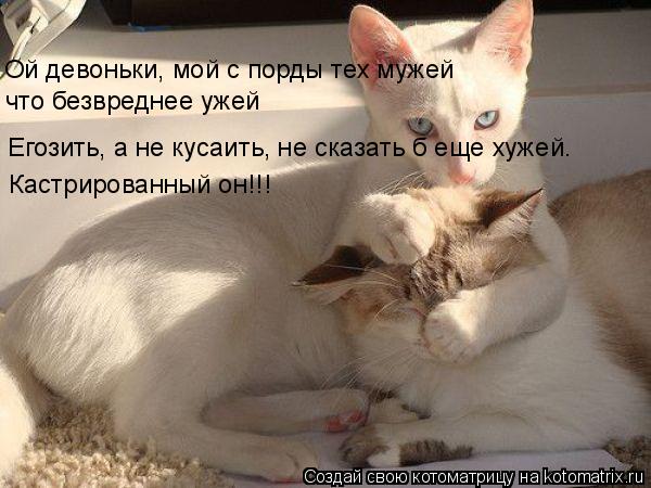 Ой девоньки, мой с порды тех мужей что безвреднее ужей Егозить, а не кусаить, не сказать б еще хужей.... Котоматрица: Ой девоньки, мой с порды тех мужей что безвреднее ужей Егозить, а не кусаить, не сказать б еще хужей. Кастрированный он!!!