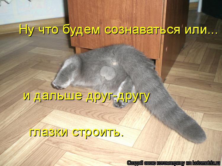 Ну что будем сознаваться или... и дальше друг-другу глазки строить.... Котоматрица: Ну что будем сознаваться или... и дальше друг-другу глазки строить.