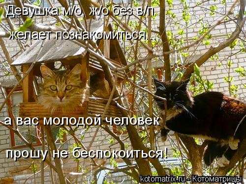 Девушка м/о, ж/о без в/п желает познакомиться... а вас молодой человек прошу не беспокоиться!... Котоматрица: Девушка м/о, ж/о без в/п желает познакомиться... а вас молодой человек прошу не беспокоиться!