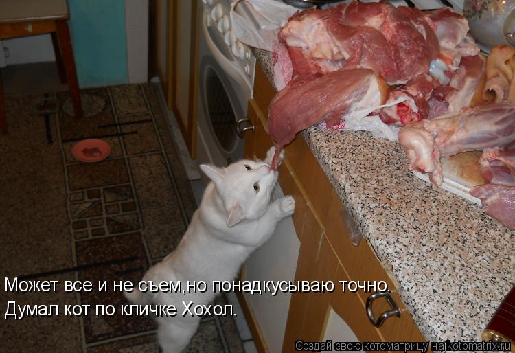 Может все и не съем,но понадкусываю точно. Думал кот по кличке Хохол.... Котоматрица: Может все и не съем,но понадкусываю точно. Думал кот по кличке Хохол.