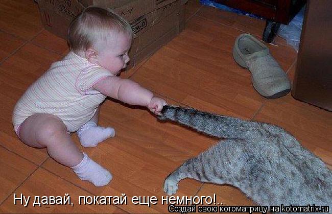 Ну давай, покатай еще немного!..... Котоматрица: Ну давай, покатай еще немного!..